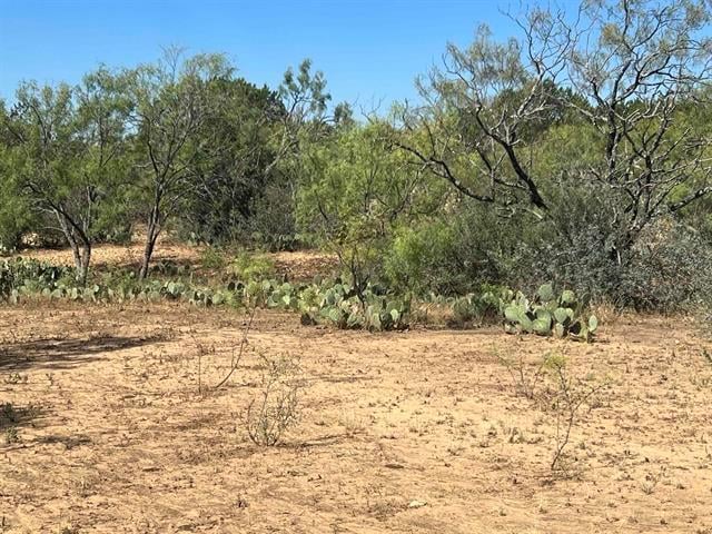 540 State Hwy 16 Hw, Goldthwaite, TX 76844