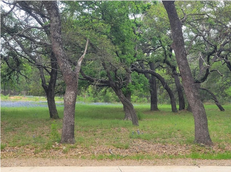 208 Cactus COR, Horseshoe Bay, TX 78657
