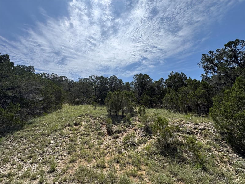 21201 La Paloma DR, Lago Vista, TX 78645