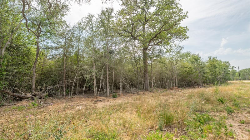 926 Ferguson Loop, Dale, TX 78616