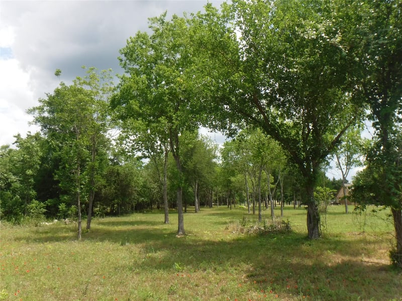 104 Riverside DR, Bastrop, TX 78602