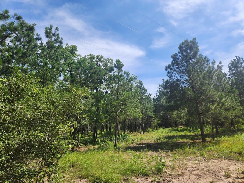 124 Paintbrush LN, Bastrop, TX 78602