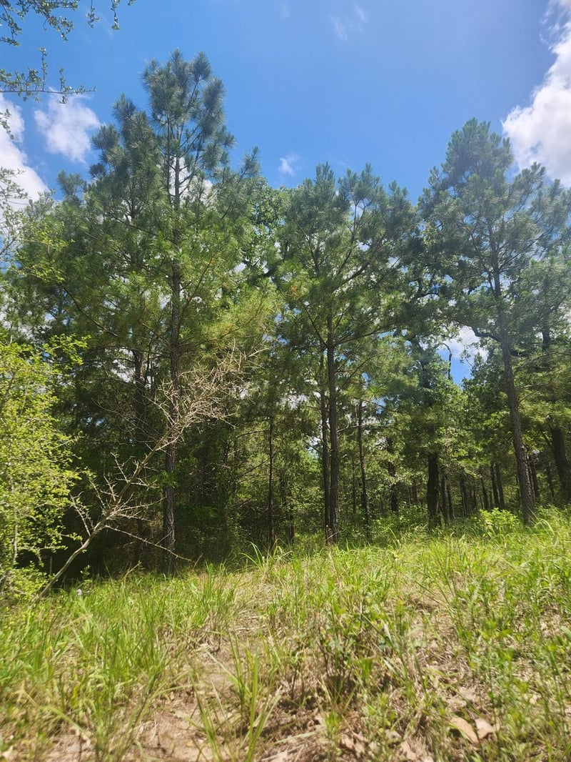 124 Paintbrush LN, Bastrop, TX 78602