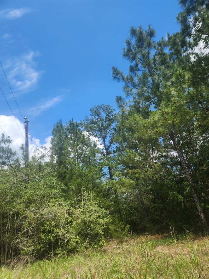 124 Paintbrush LN, Bastrop, TX 78602
