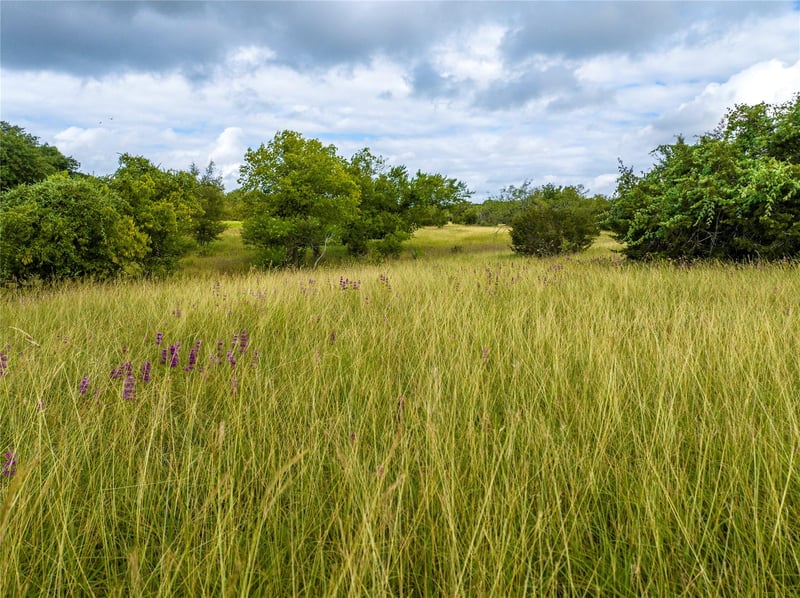00 Vaquero Vista Trail LN, Lampasas, TX 78608