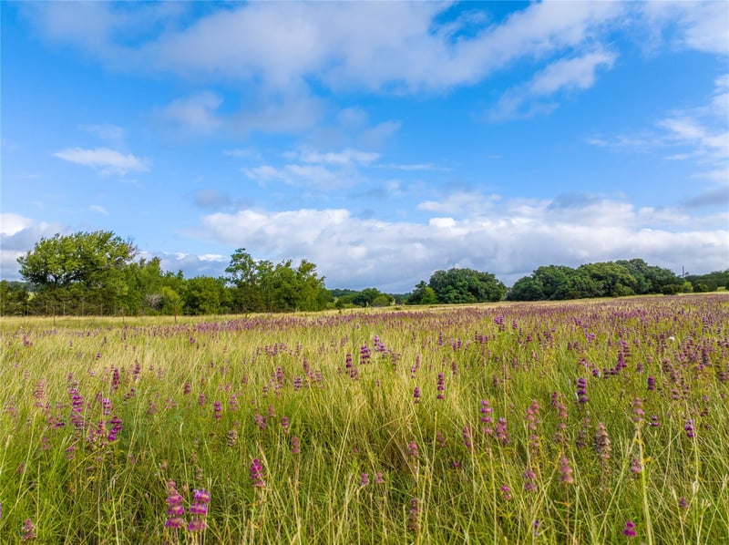 00 Vaquero Vista Trail LN, Lampasas, TX 78608