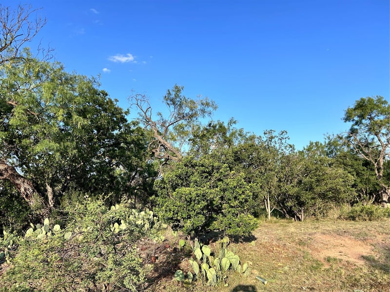 TBD Cactus TRL, Kingsland, TX 78639