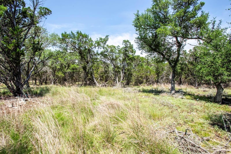 41 Persimmon DR, Wimberley, TX 78676