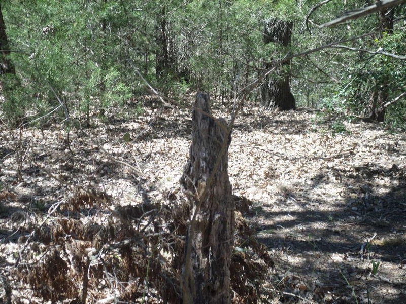 TBD R68370 Walter Hoffman RD #H, Cedar Creek, TX 78612
