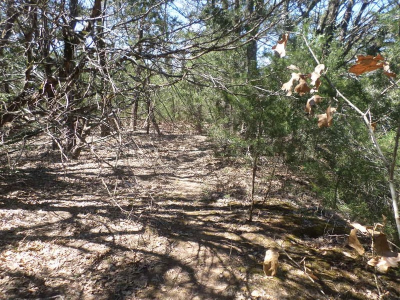 TBD R68370 Walter Hoffman RD #H, Cedar Creek, TX 78612