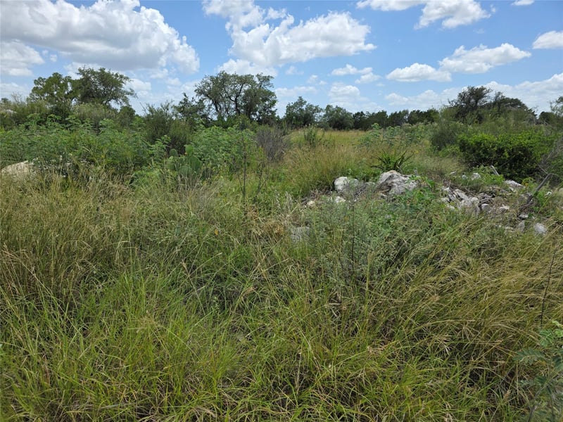 LOT 206 Enchanted Oak PT, Spicewood, TX 78669