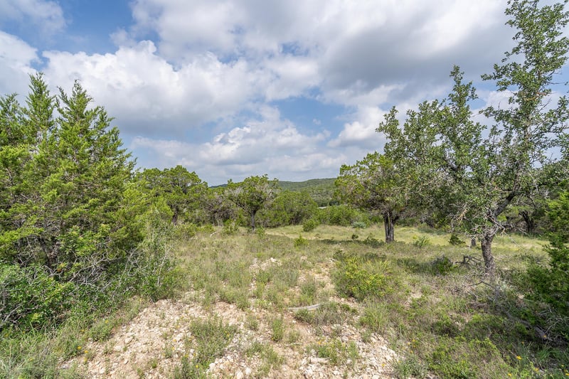 19705 Tyler TRL, Jonestown, TX 78645