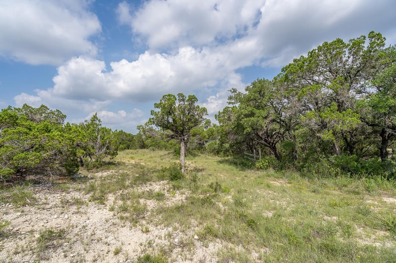 19705 Tyler TRL, Jonestown, TX 78645