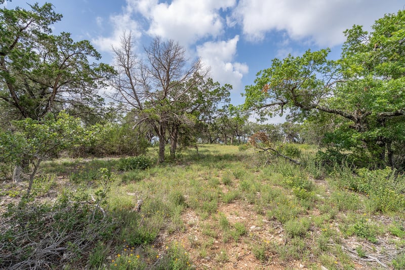 19705 Tyler TRL, Jonestown, TX 78645