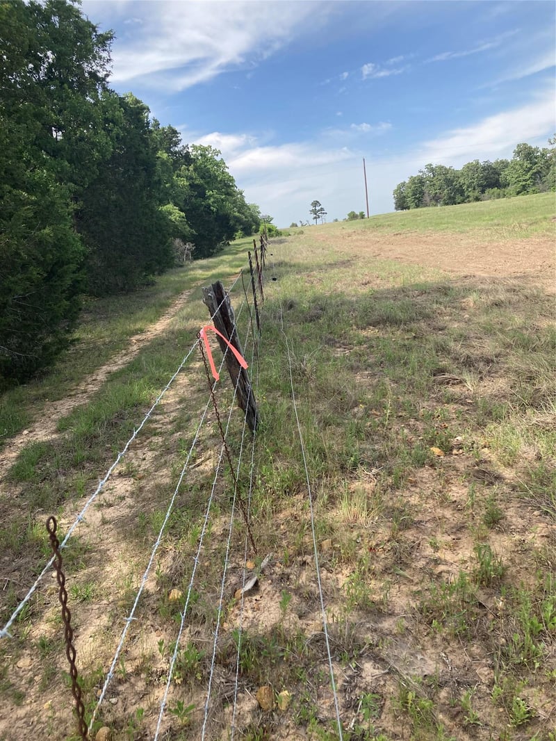 1078 Old Pin Oak RD #Tract 1, Paige, TX 78659
