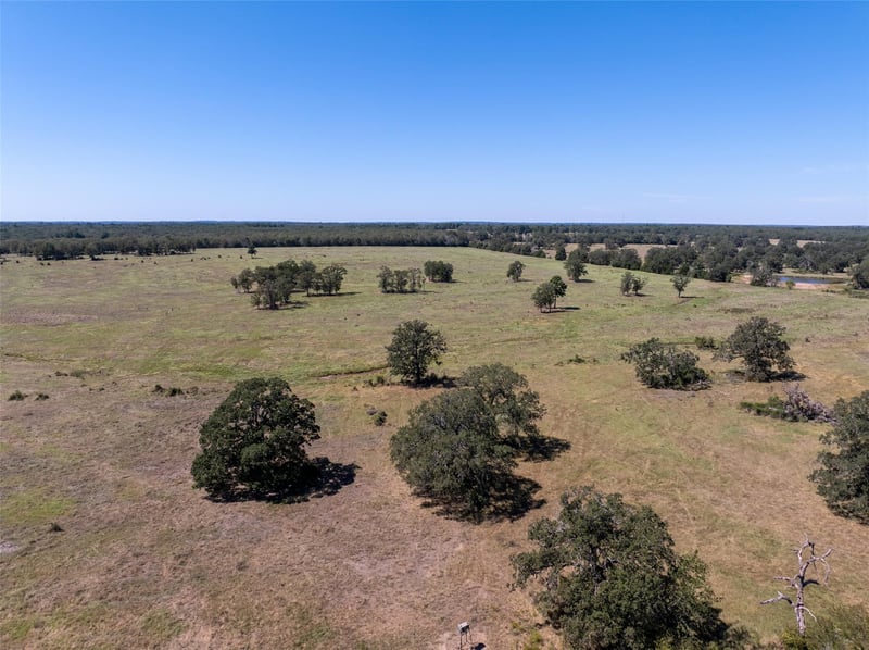 1078 Old Pin Oak RD #Tract 1, Paige, TX 78659