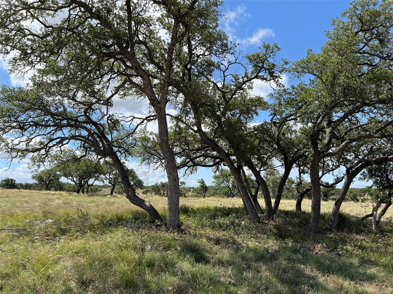 Lot 80 Seven Springs RNCH, Junction, TX 78649