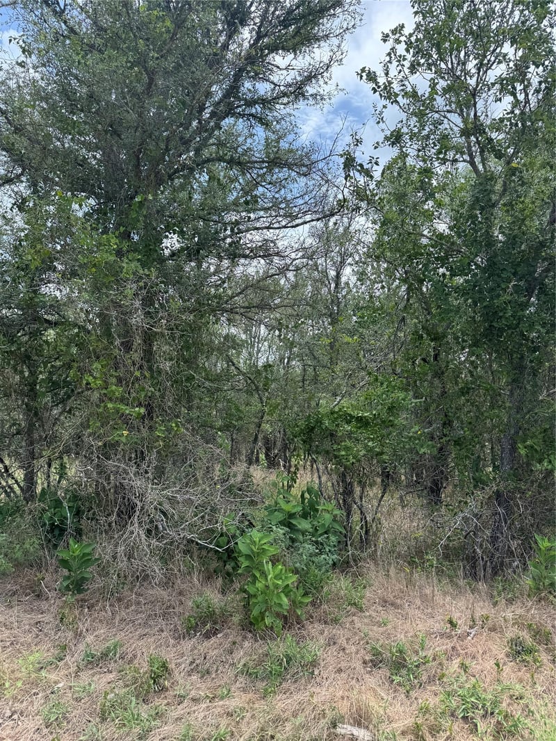 Lot 686 Kawainui LN, Bastrop, TX 78602