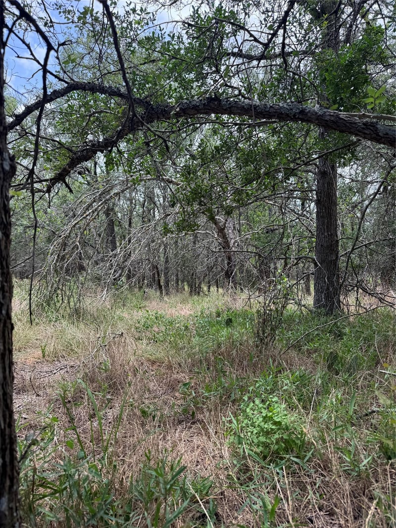 Lot 686 Kawainui LN, Bastrop, TX 78602