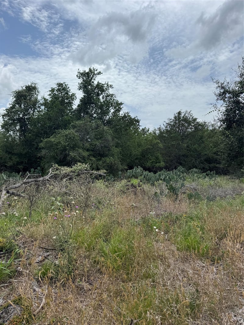 Lot 687 Kawainui LN, Bastrop, TX 78602