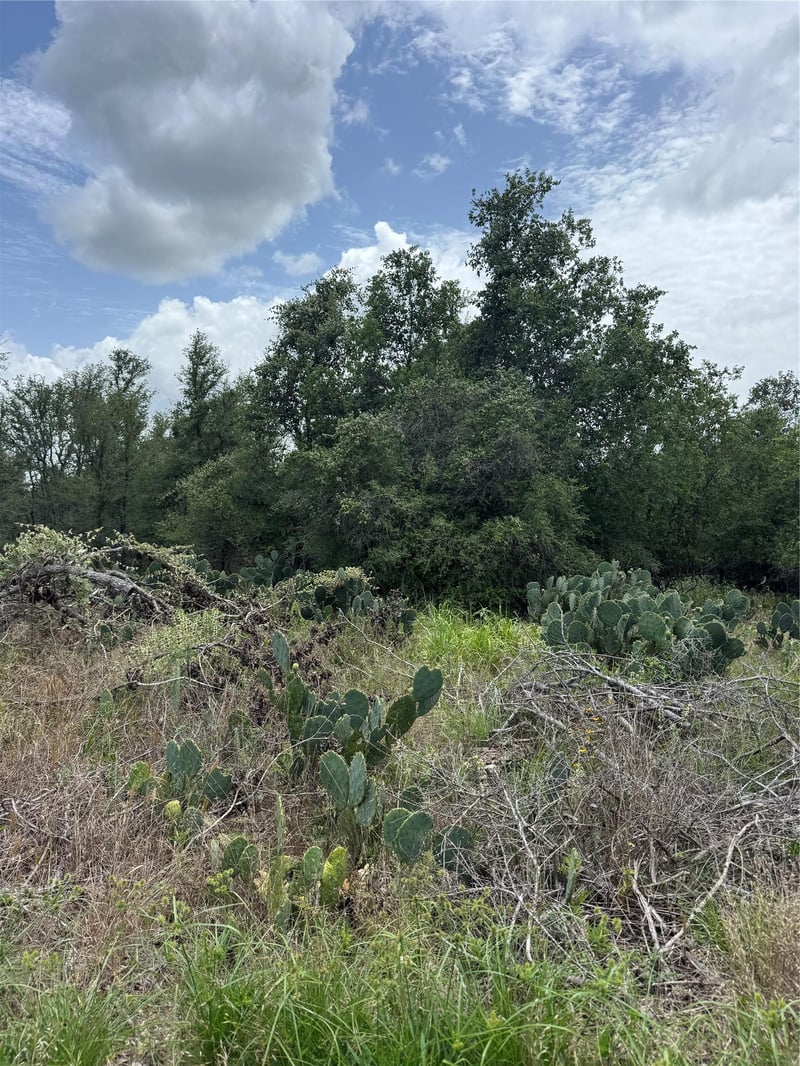 Lot 687 Kawainui LN, Bastrop, TX 78602