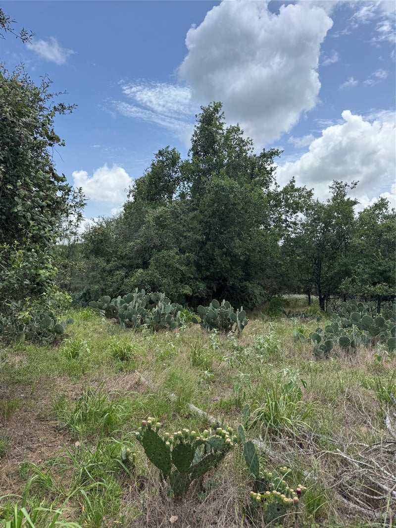 Lot 687 Kawainui LN, Bastrop, TX 78602