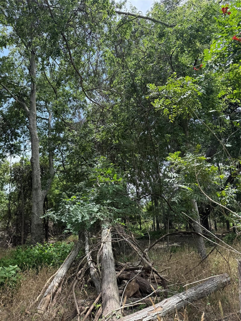 Lot 904 Kahana LN, Bastrop, TX 78602