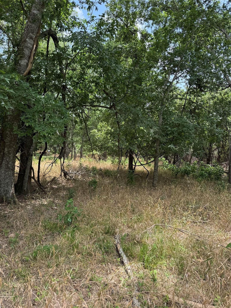 Lot 904 Kahana LN, Bastrop, TX 78602
