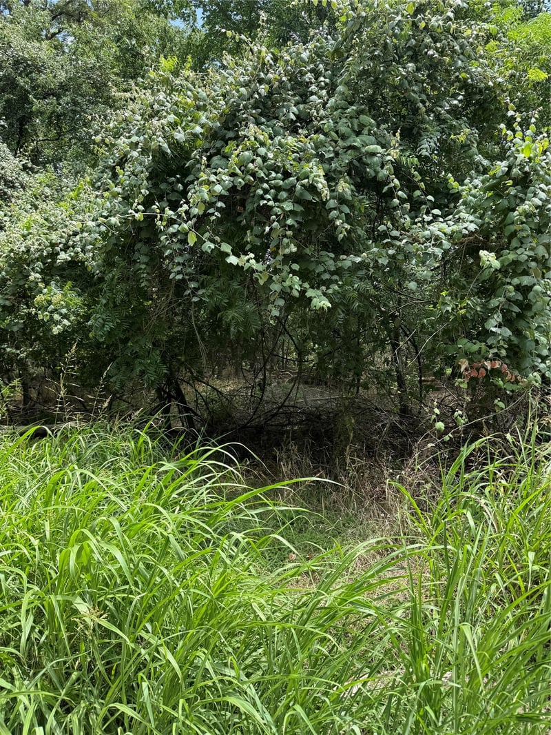 Lot 902 Kahana LN, Bastrop, TX 78602