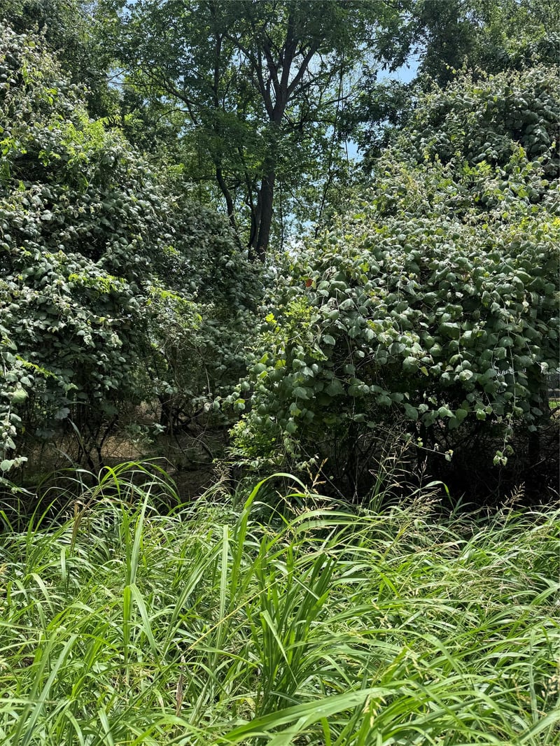 Lot 902 Kahana LN, Bastrop, TX 78602