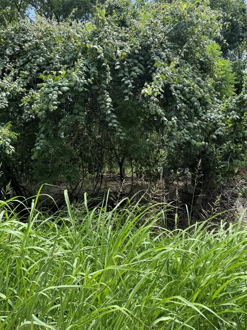 Lot 902 Kahana LN, Bastrop, TX 78602