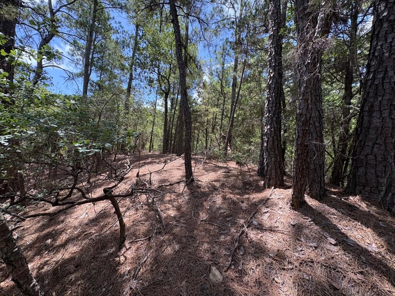 120 Molokini DR, Bastrop, TX 78602