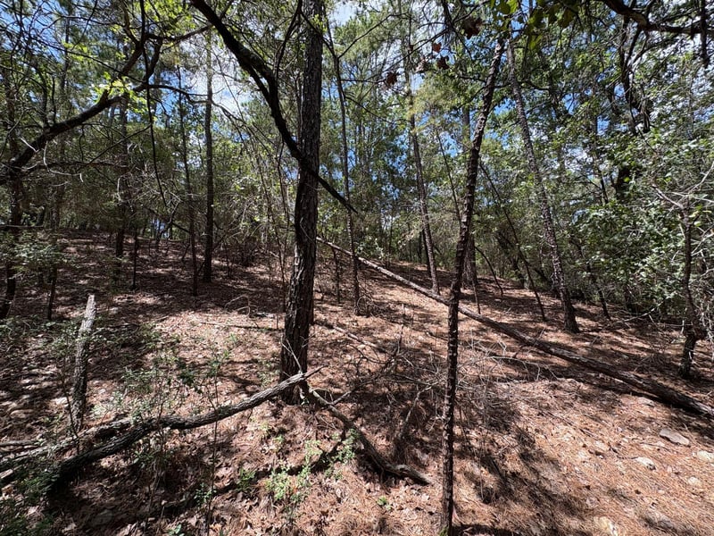 120 Molokini DR, Bastrop, TX 78602