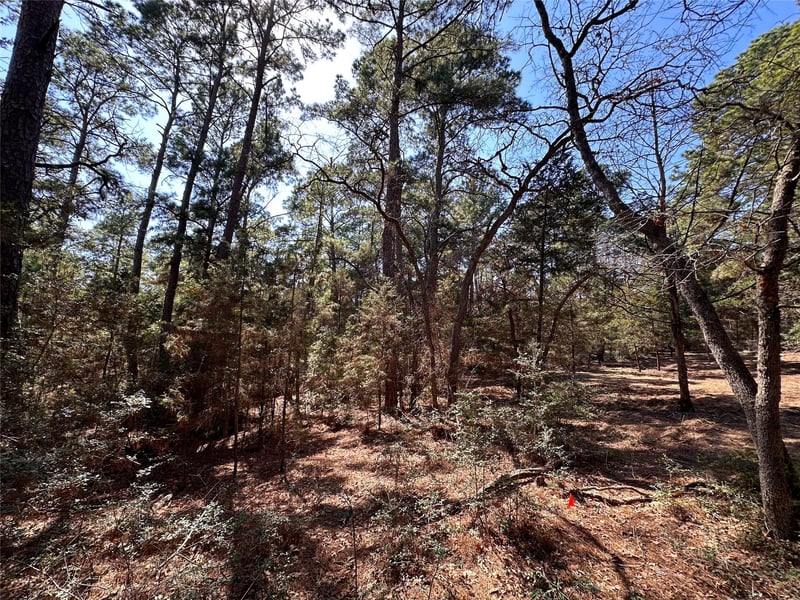 TBD Hula LN, Bastrop, TX 78602