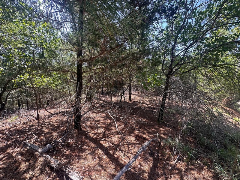 TBD Hula LN, Bastrop, TX 78602