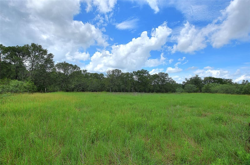 TBD Whitworth LN, Bastrop, TX 78602