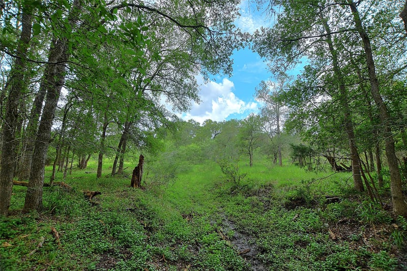 TBD Whitworth LN, Bastrop, TX 78602