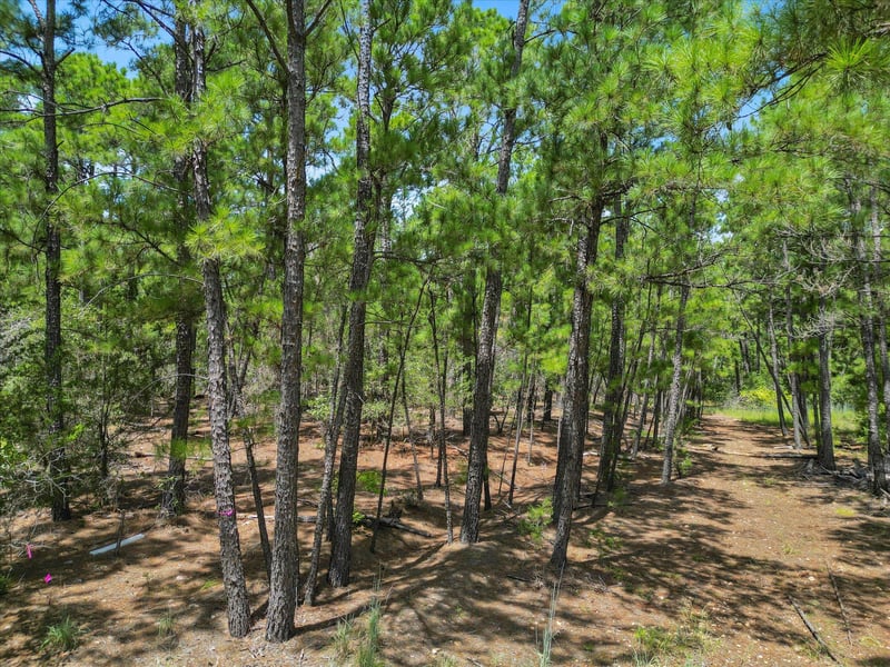Lot 54 Akala LN, Bastrop, TX 78602