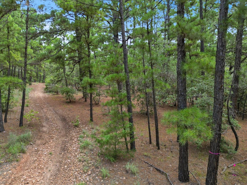 Lot 55 Akala LN, Bastrop, TX 78602