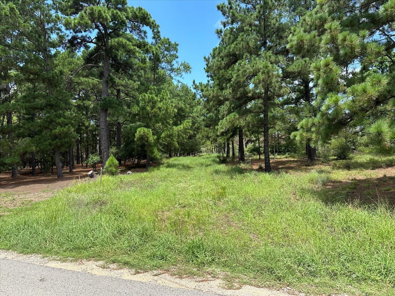 Lot 55 Akala LN, Bastrop, TX 78602