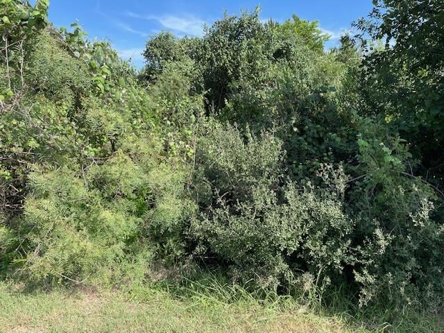 Lot 80 Wesley Ridge DR, Spicewood, TX 78669
