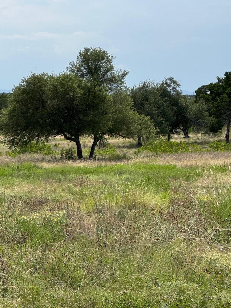 251 Pioneer TRL, Dripping Springs, TX 78620