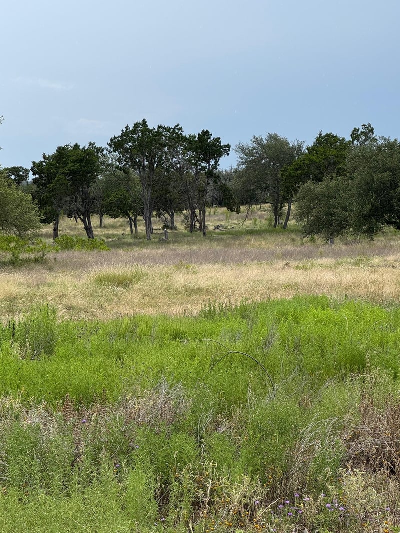 251 Pioneer TRL, Dripping Springs, TX 78620