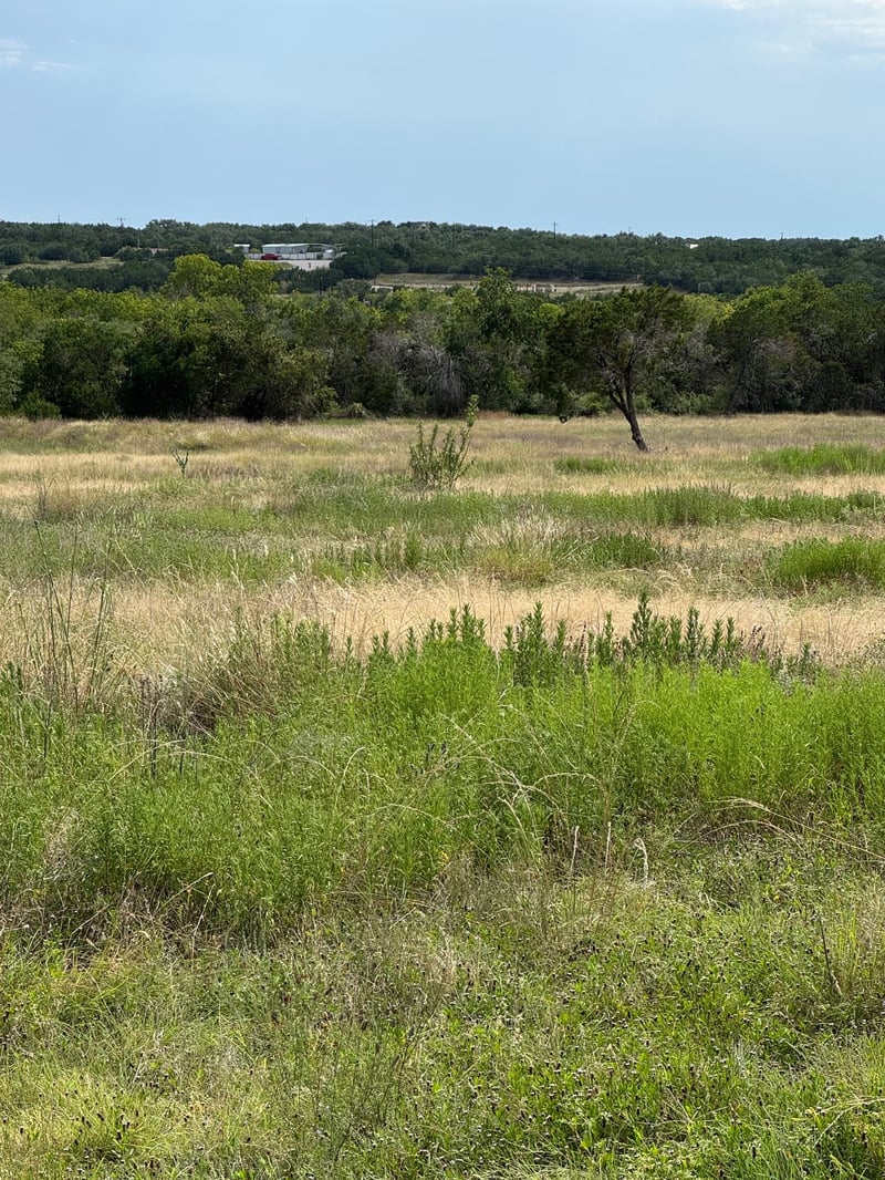 251 Pioneer TRL, Dripping Springs, TX 78620