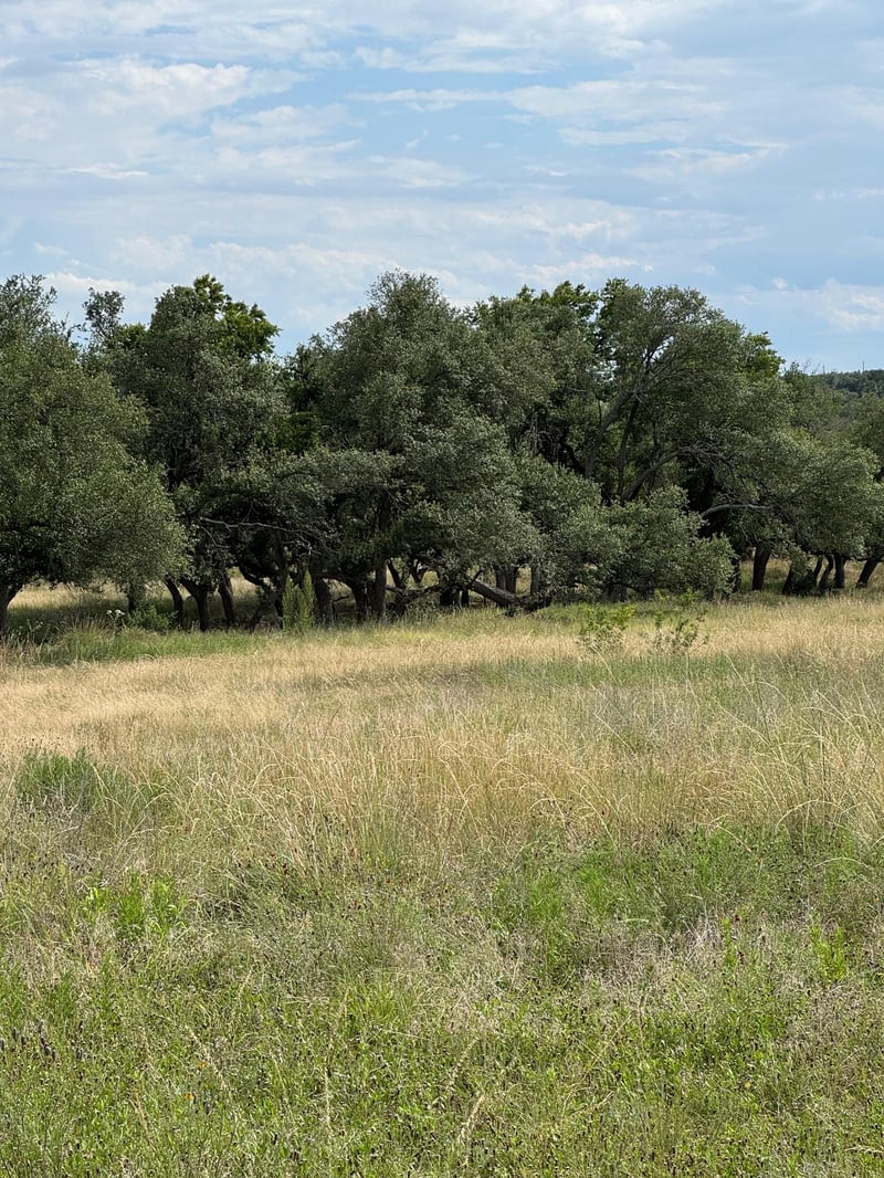251 Pioneer TRL, Dripping Springs, TX 78620