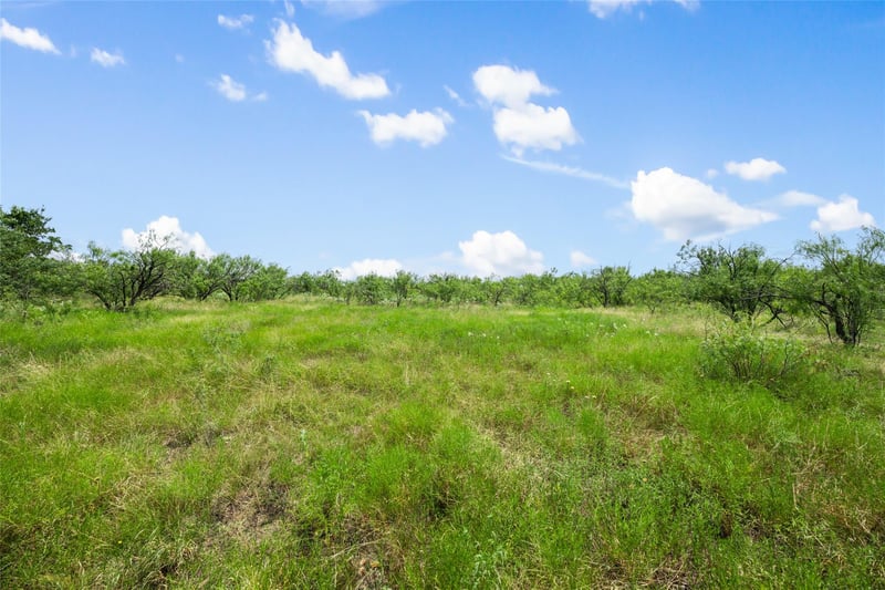 925 1st ST, Jarrell, TX 76537
