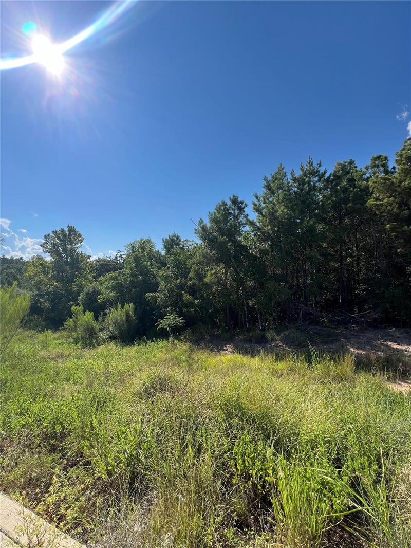 TBD Poi CT, Bastrop, TX 78602