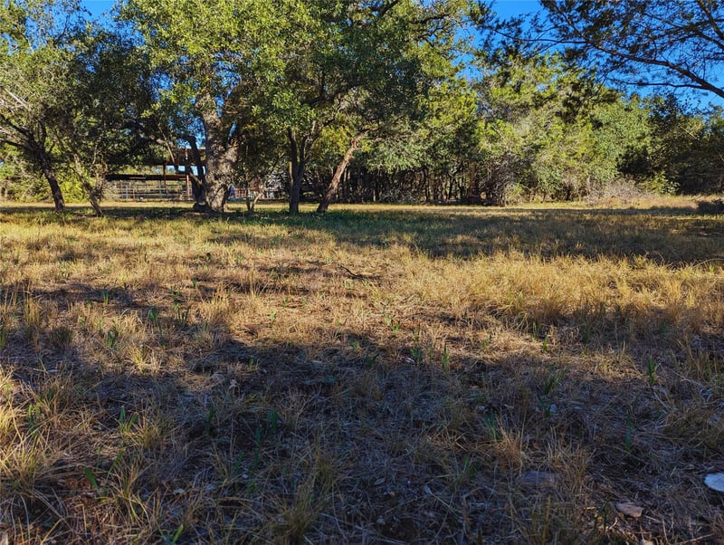 541 Onion Creek LN, Driftwood, TX 78619