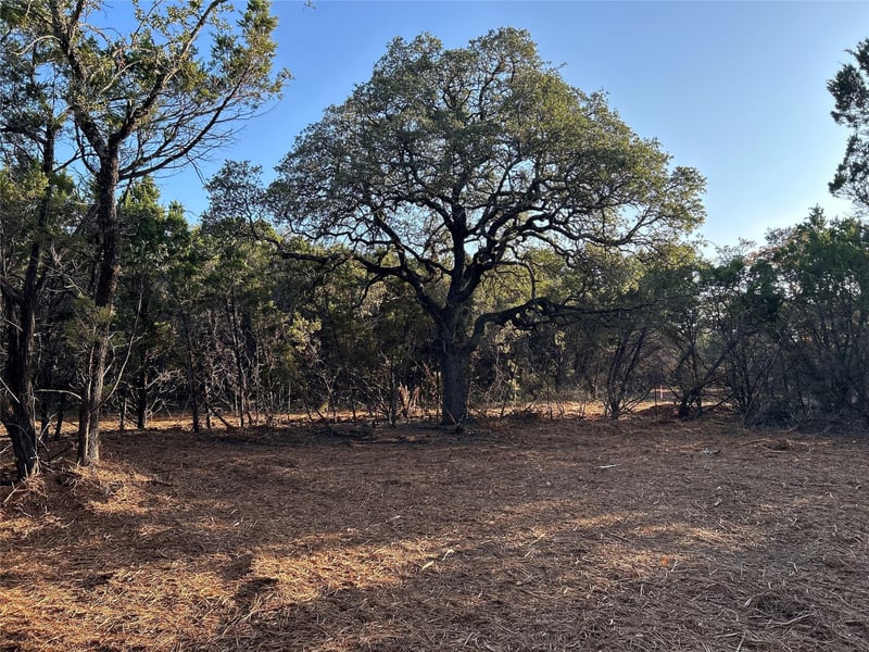 301 Cr 282 Lot 1 RD, Liberty Hill, TX 78642