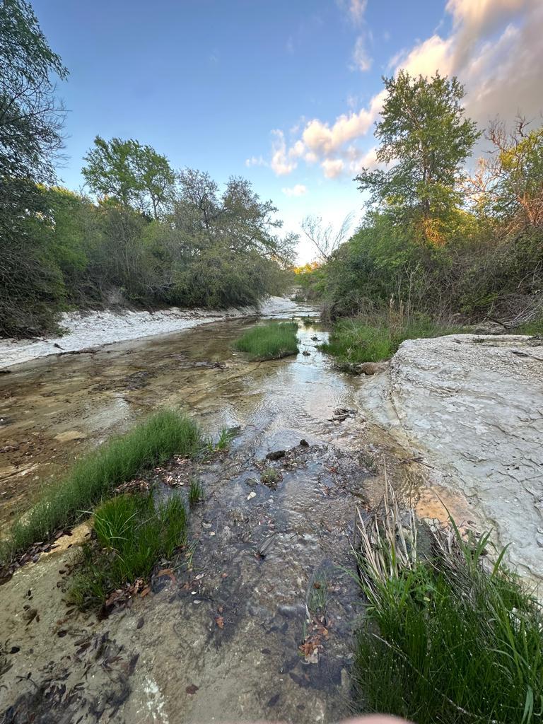 TBD Lot 2 Fm 1105 , Georgetown, TX 78626